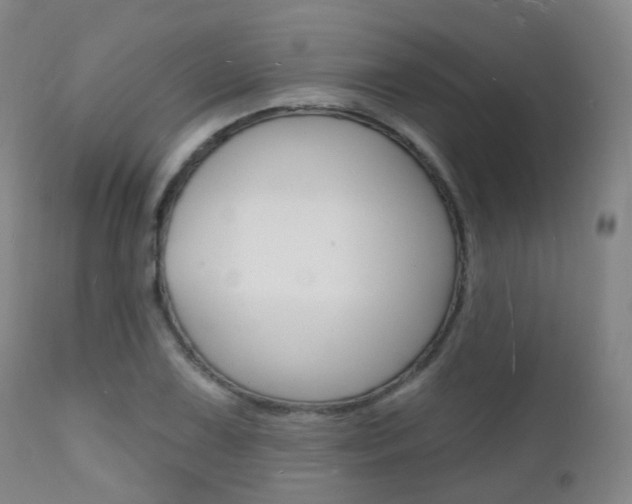 X0000112141075200908070934