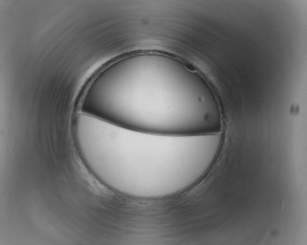 X0000112141076200908070934