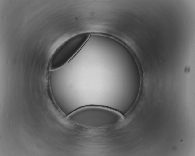 X0000112141077200908070934