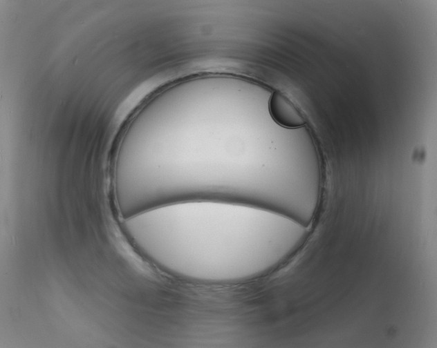 X0000112141082200908070933