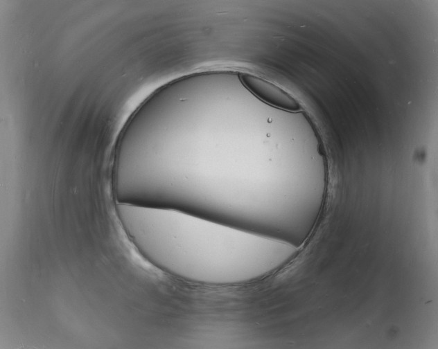 X0000112141102200908070933