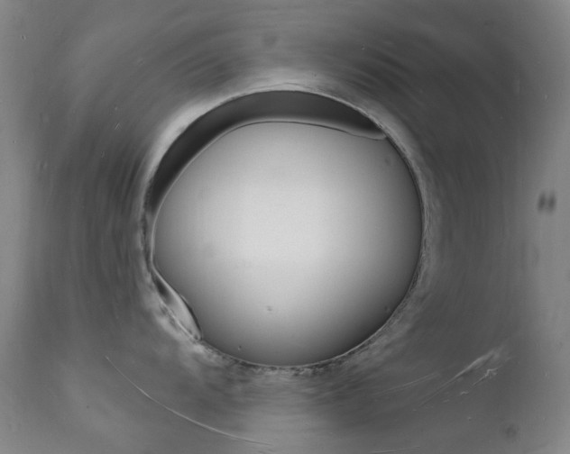 X0000112141104200908070933
