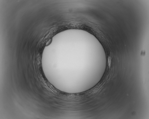 X0000112141107200908070933