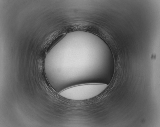 X0000112141108200908070933