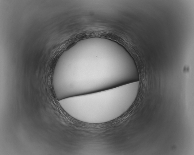 X0000112141109200908070933