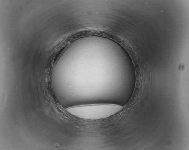 X0000112141110200908070933