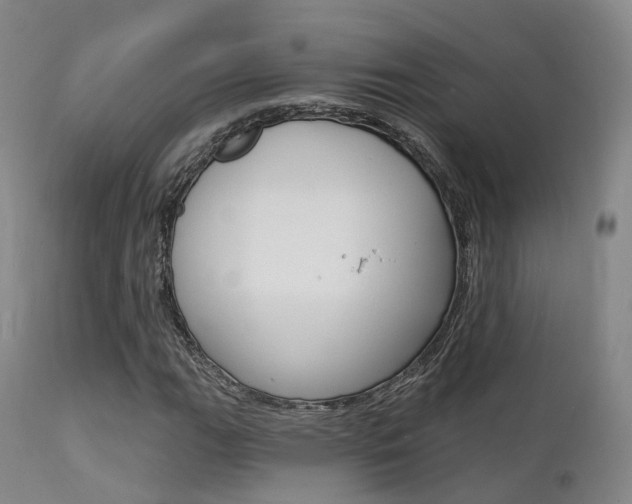 X0000112141111200908070933