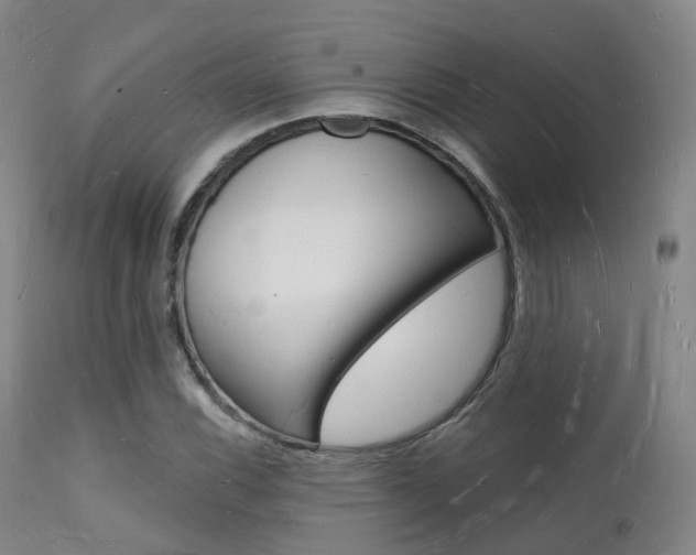 X0000112141116200908070933