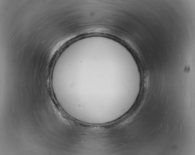 X0000112141117200908070933