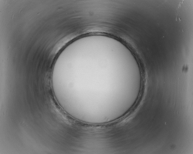 X0000112141121200908070933