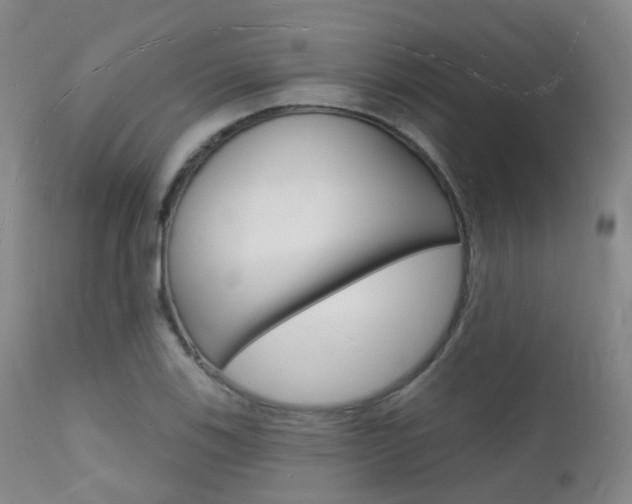 X0000112141123200908070933