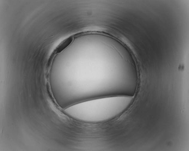 X0000112141124200908070933