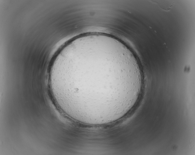 X0000112141125200908070933