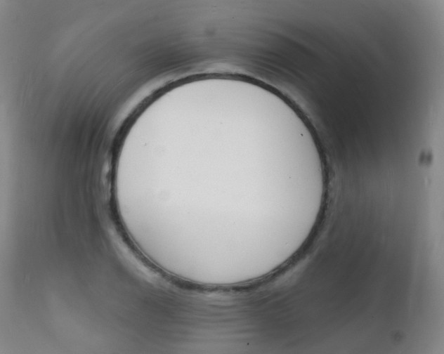 X0000112141126200908070933
