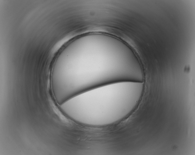 X0000112141127200908070933