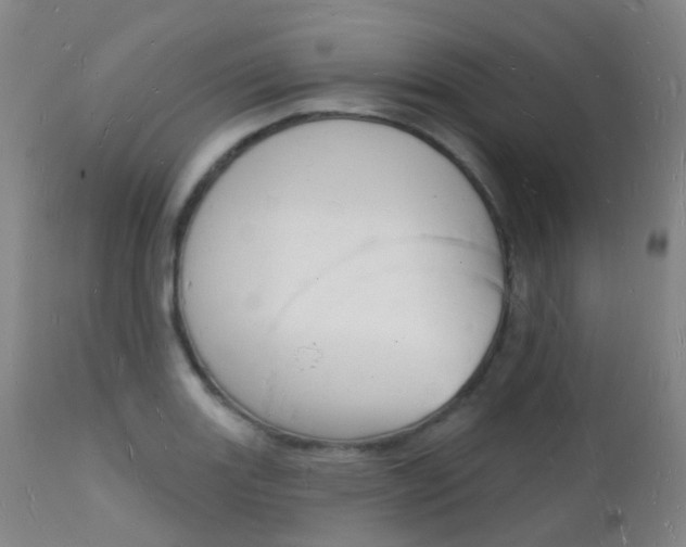 X0000112141131200908070933