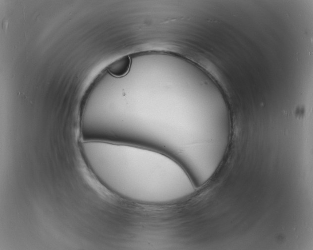 X0000112141132200908070933