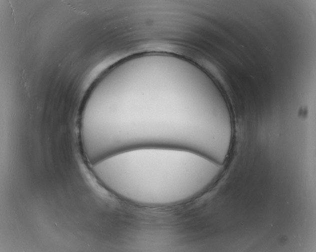 X0000112141133200908070933