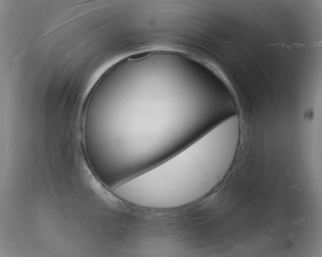 X0000112141148200908070933