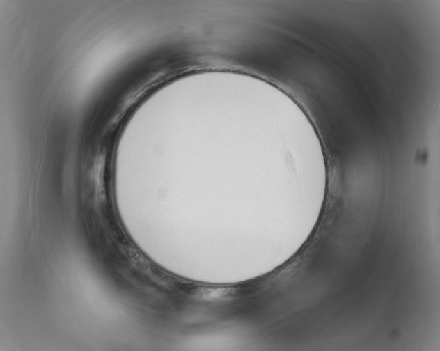 X0000112141150200908070933