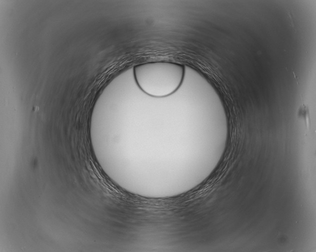 X0000112141153200908070932
