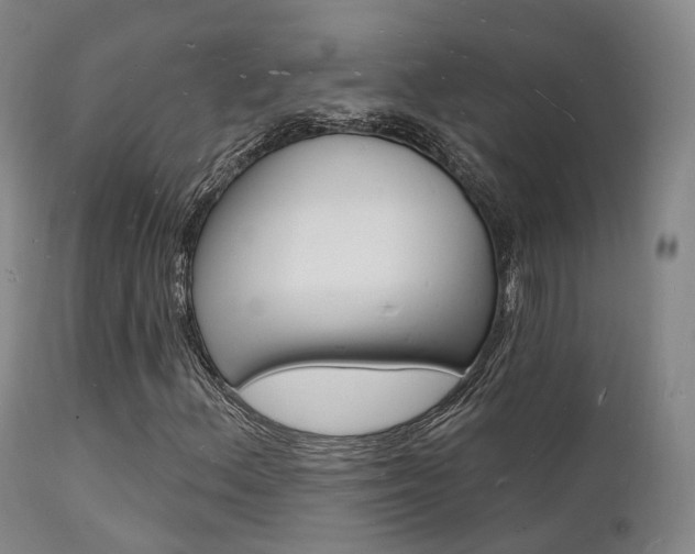 X0000112141156200908070932