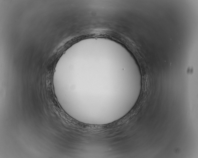X0000112141158200908070932