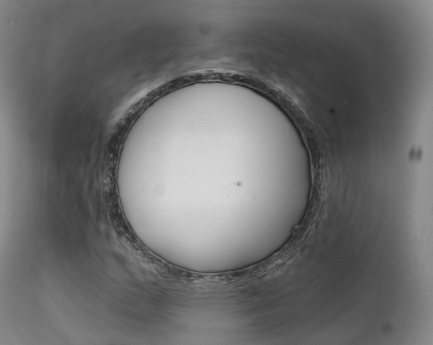 X0000112141159200908070932