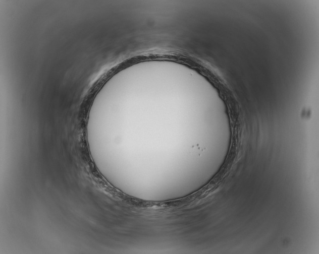 X0000112141160200908070932
