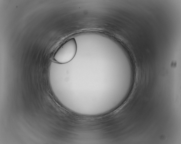 X0000112141161200908070932