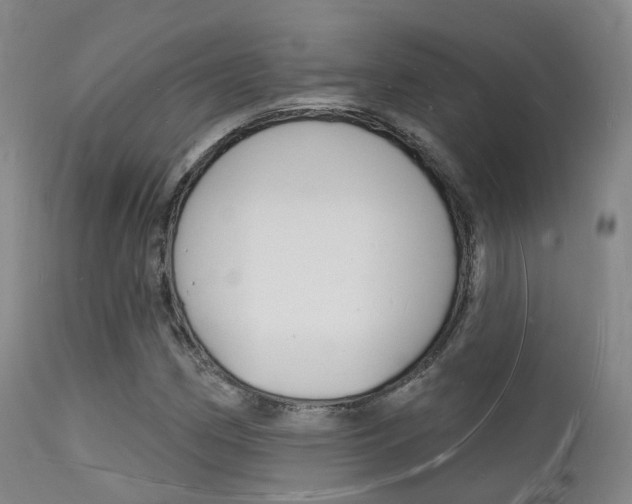 X0000112141162200908070932