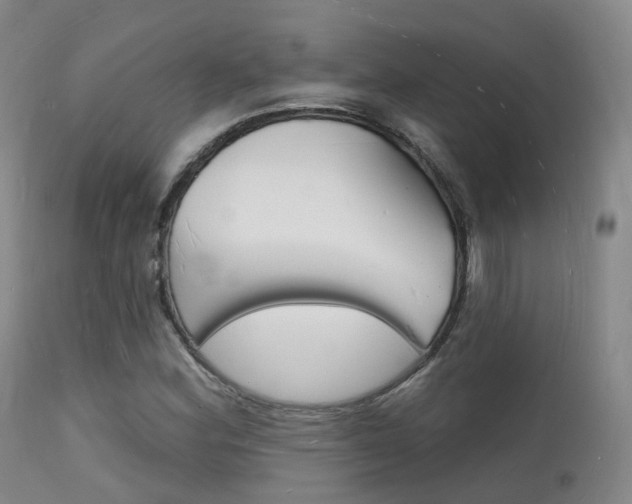 X0000112141164200908070932