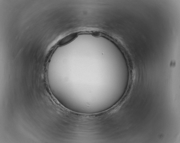 X0000112141165200908070932