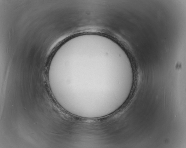 X0000112141166200908070932