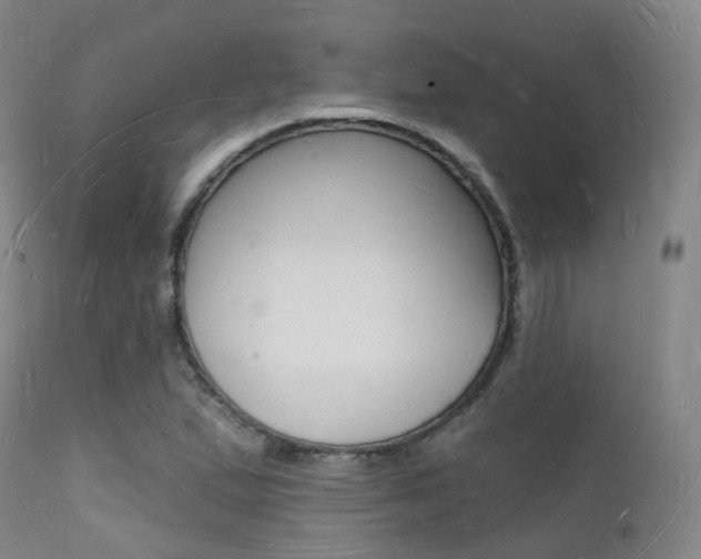 X0000112141167200908070932