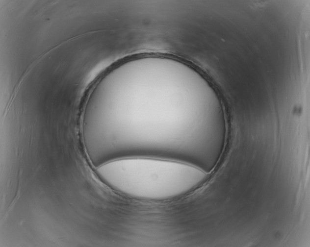 X0000112141168200908070932