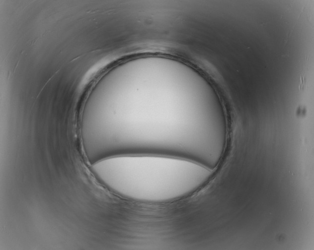X0000112141172200908070932