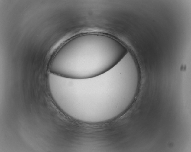 X0000112141173200908070932