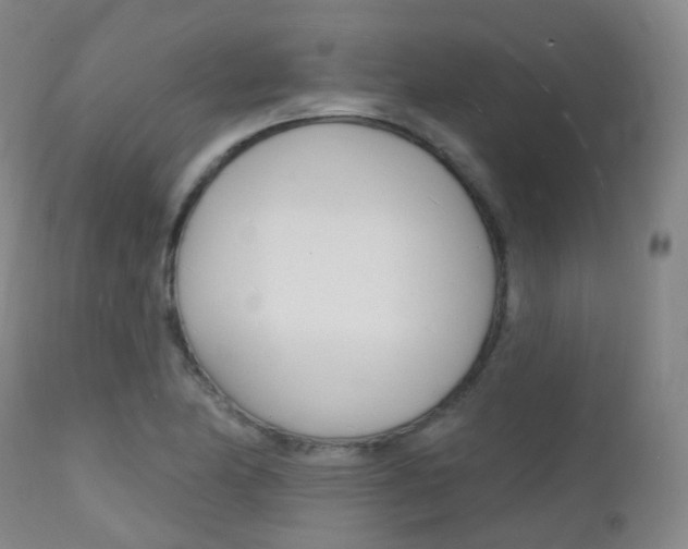 X0000112141174200908070932