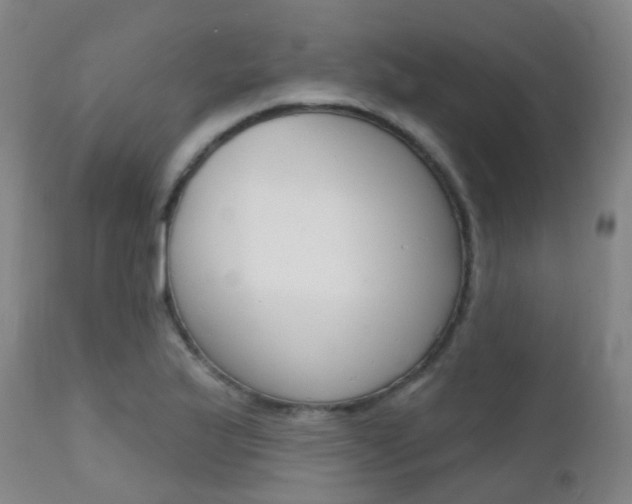 X0000112141175200908070932