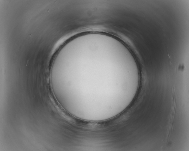 X0000112141176200908070932