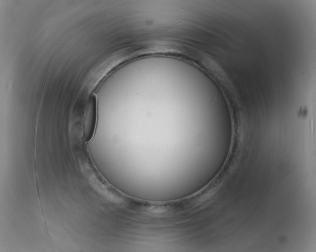 X0000112141177200908070932