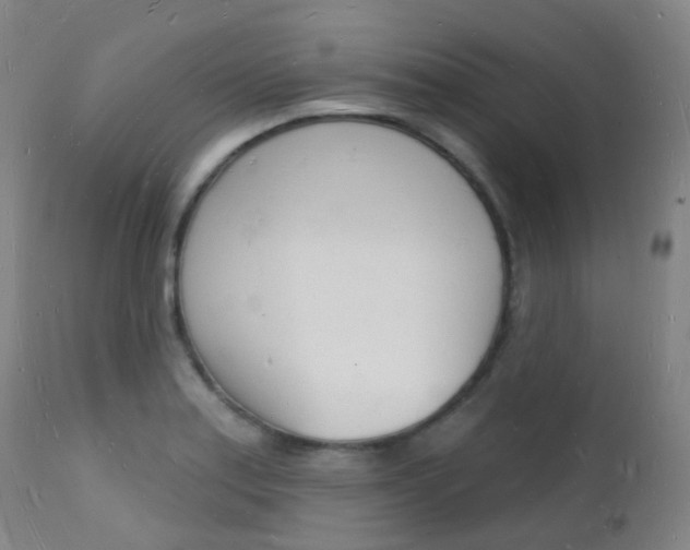 X0000112141179200908070932