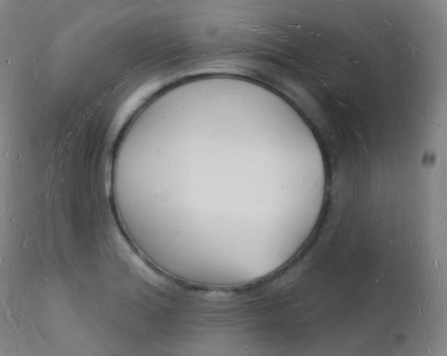 X0000112141180200908070932