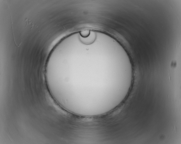 X0000112141182200908070932