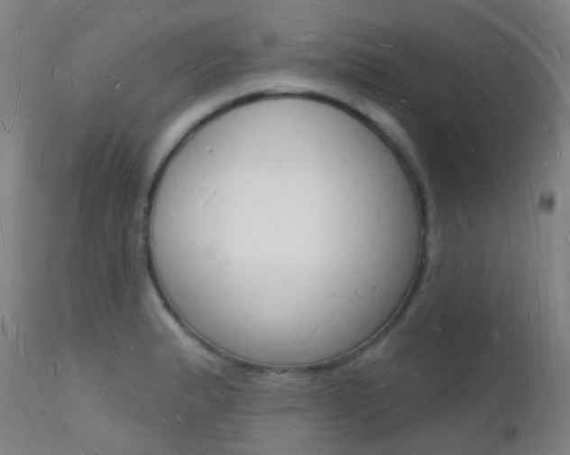 X0000112141183200908070932
