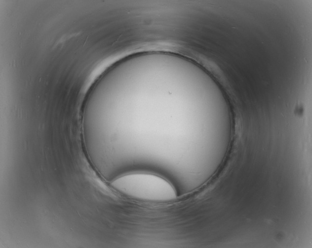 X0000112141184200908070932