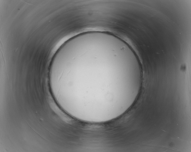 X0000112141187200908070932