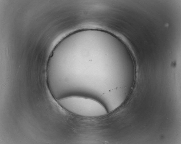 X0000112141191200908070932