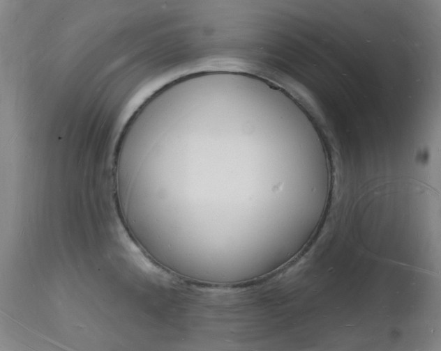 X0000112141192200908070932